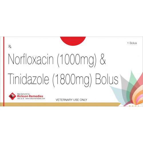 Norfloxacin Tin...